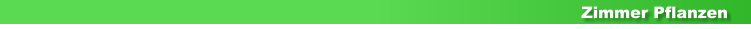 Zimmer Pflanzen