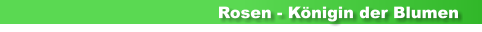 Rosen - Knigin der Blumen